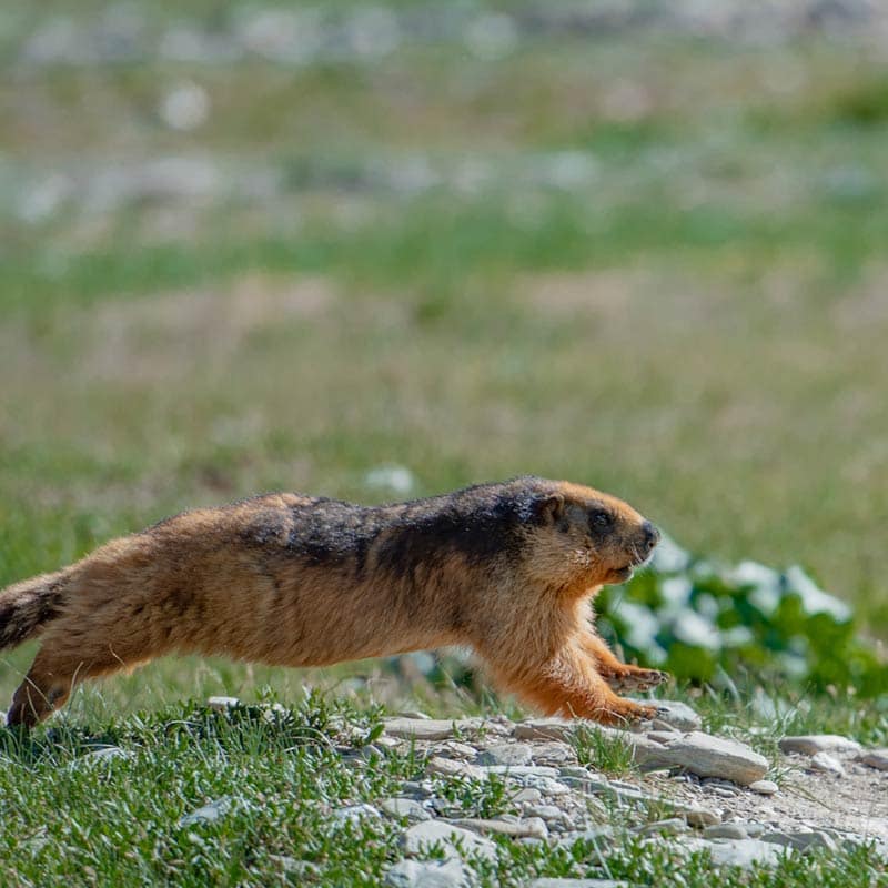 ladakh-photography-tour-02