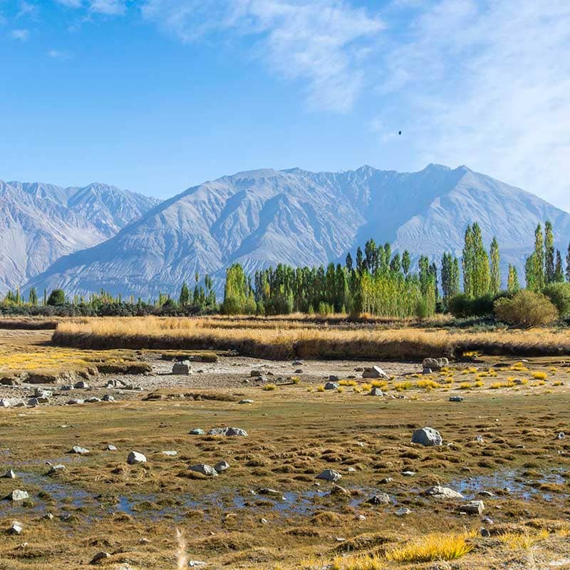 Ladakh-06