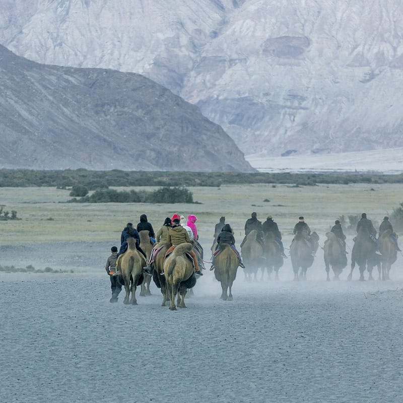 priceless™  Discover Ladakh: Luxury Group Adventure in Leh and Nubra: In  India