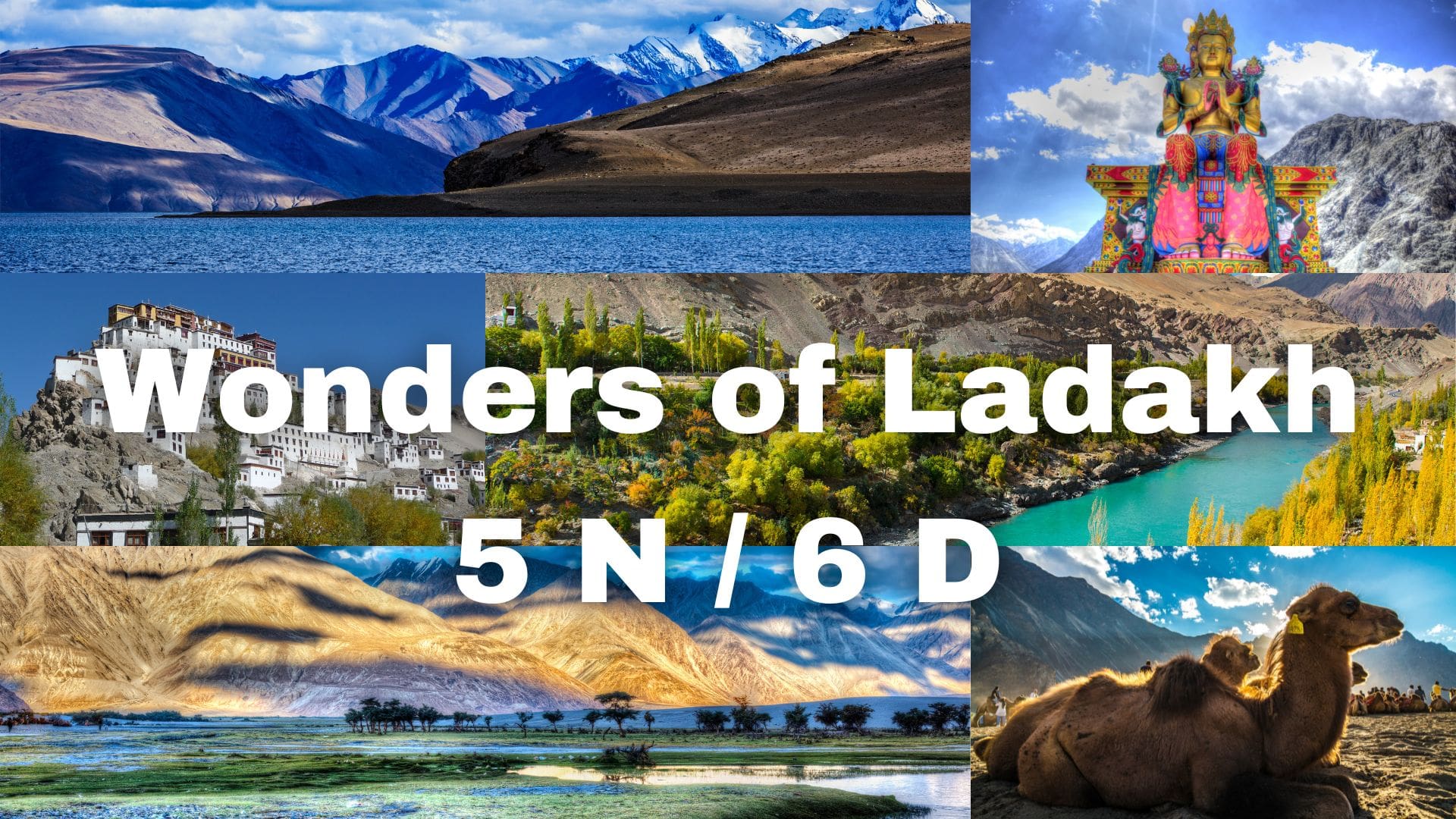 priceless™  Discover Ladakh: Luxury Group Adventure in Leh and Nubra: In  India